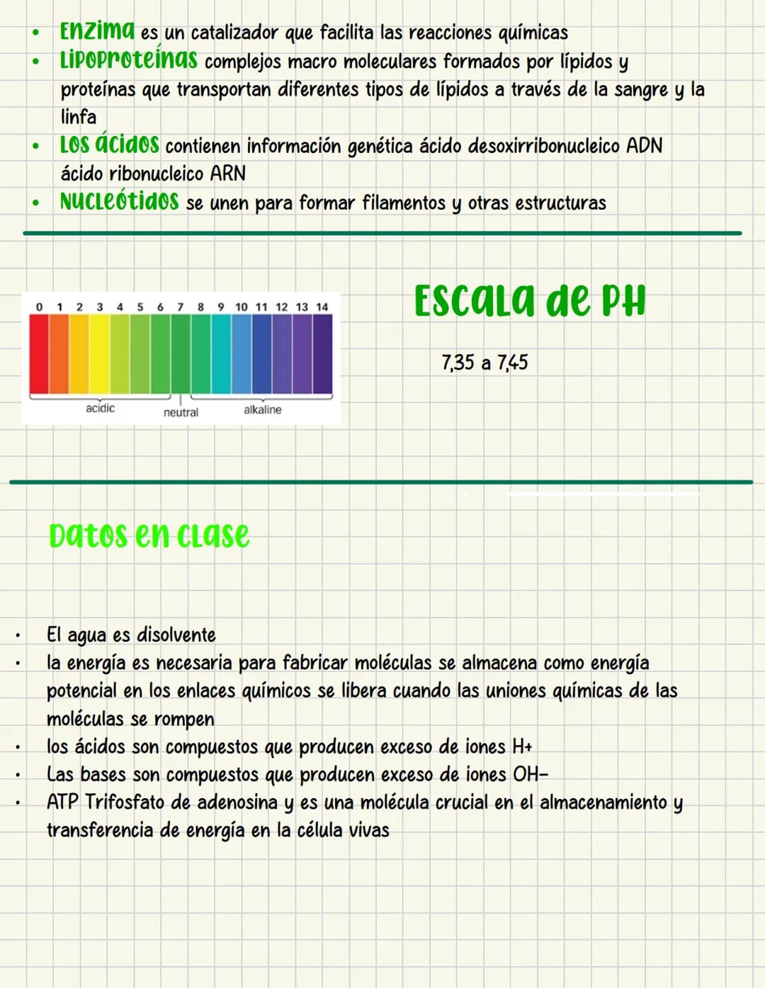 ما
Bioestructura Introducción a las estructuras A
nivel de cuerpo humano
•
•
Anatomía cortar y abrir
=
=
Fisiología estudio de las funciones