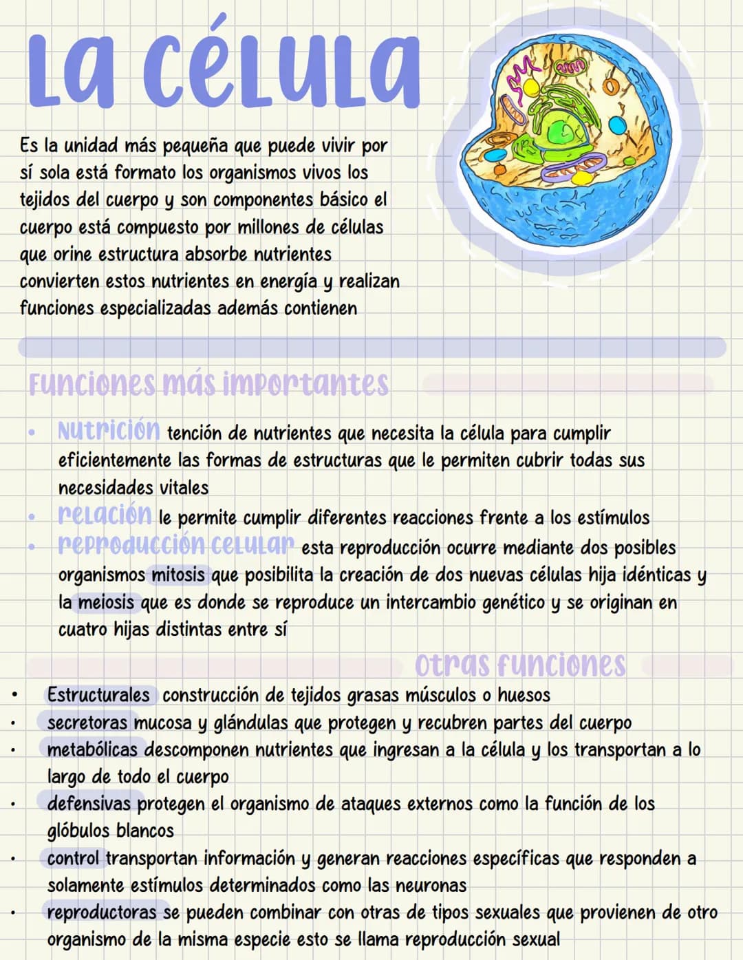 ما
Bioestructura Introducción a las estructuras A
nivel de cuerpo humano
•
•
Anatomía cortar y abrir
=
=
Fisiología estudio de las funciones