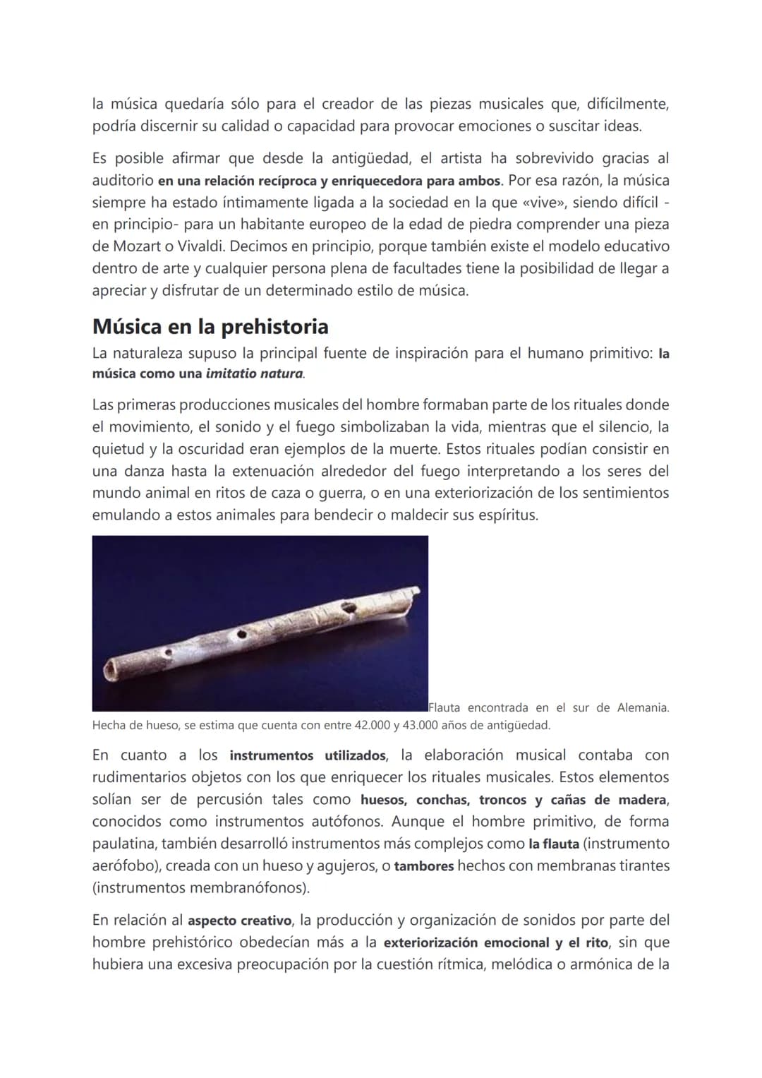 La historia de la música
¿Qué es música?
Desde un punto de vista antropológico, el fenómeno artístico en general pertenece al
aspecto supere