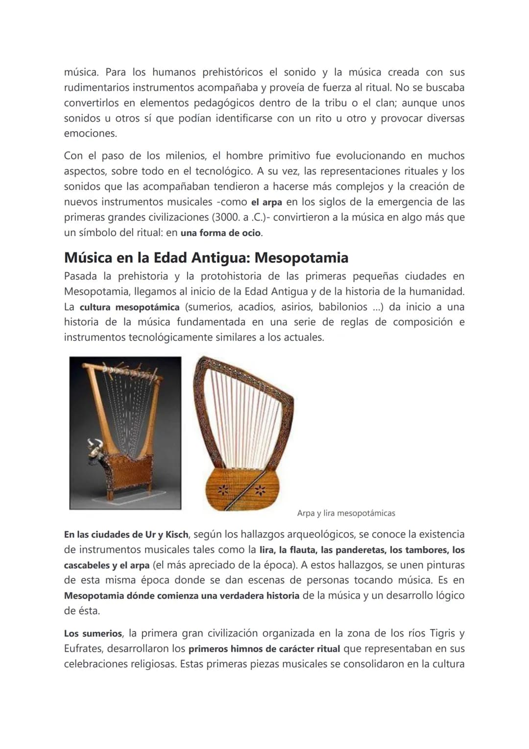 La historia de la música
¿Qué es música?
Desde un punto de vista antropológico, el fenómeno artístico en general pertenece al
aspecto supere