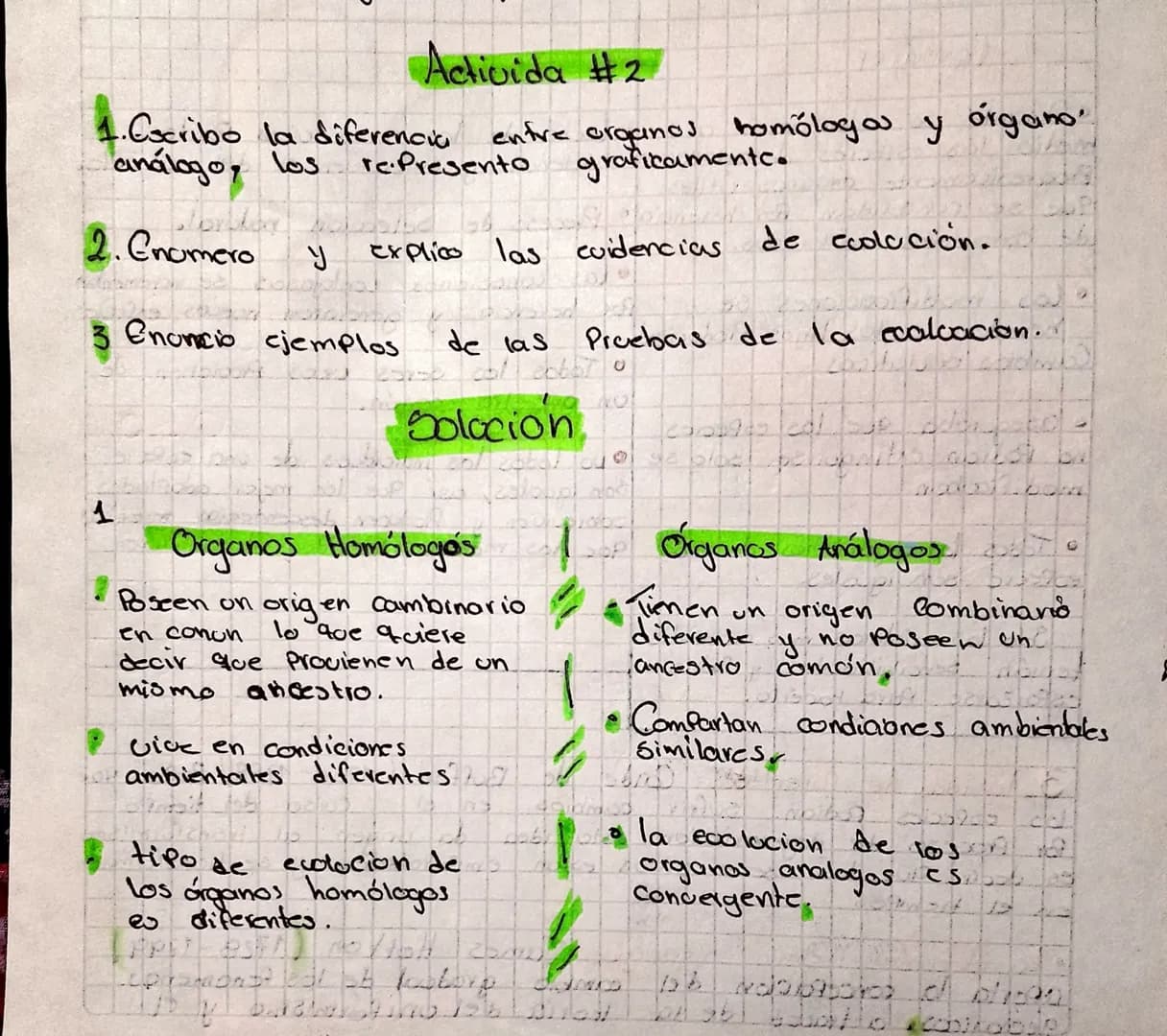 Activida #2
1.Cscribo la diferencia
análogo, los
2.Gnomero
R
entre organos homólogos y organo
graficamente.
rePresento
explico las cuidencia