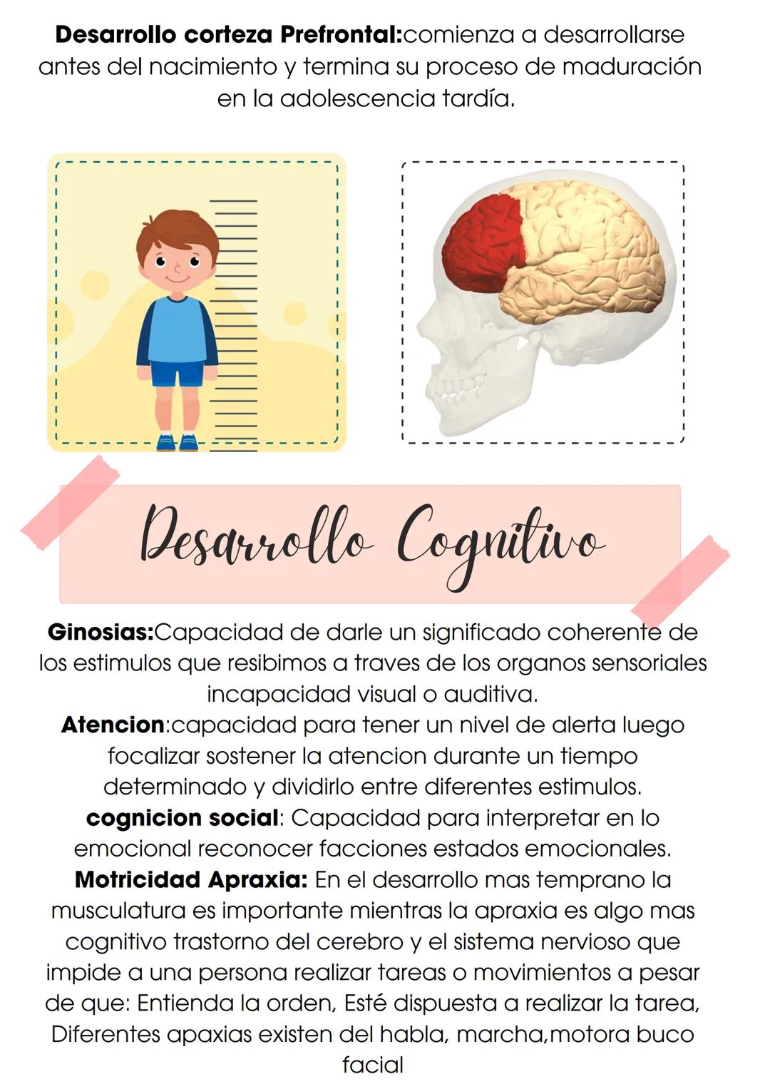 NEUROPISOLOHA

introduccion

su objetivo general es el estudio de la
organizacion cerebral, de las actividades
cognitivas conductuales asi c