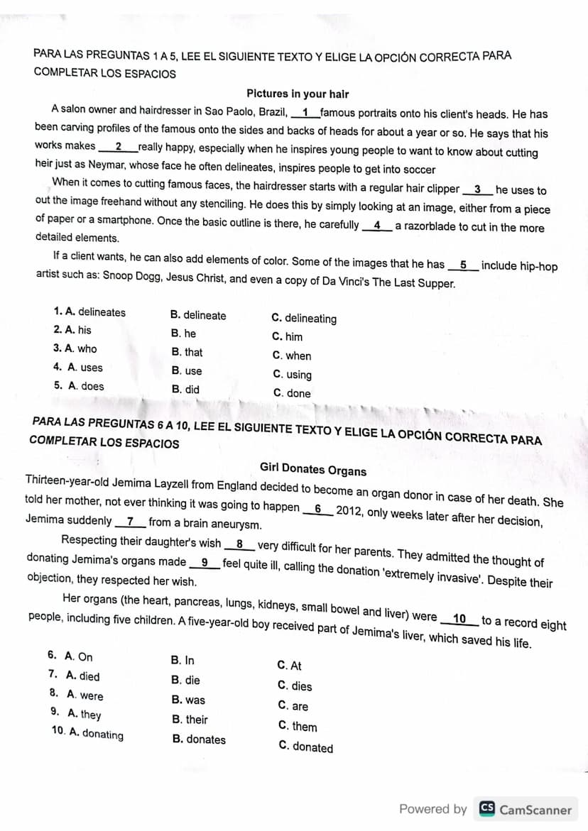 PARA LAS PREGUNTAS 1 A 5, LEE EL SIGUIENTE TEXTO Y ELIGE LA OPCIÓN CORRECTA PARA
COMPLETAR LOS ESPACIOS
Pictures in your hair
A salon owner 
