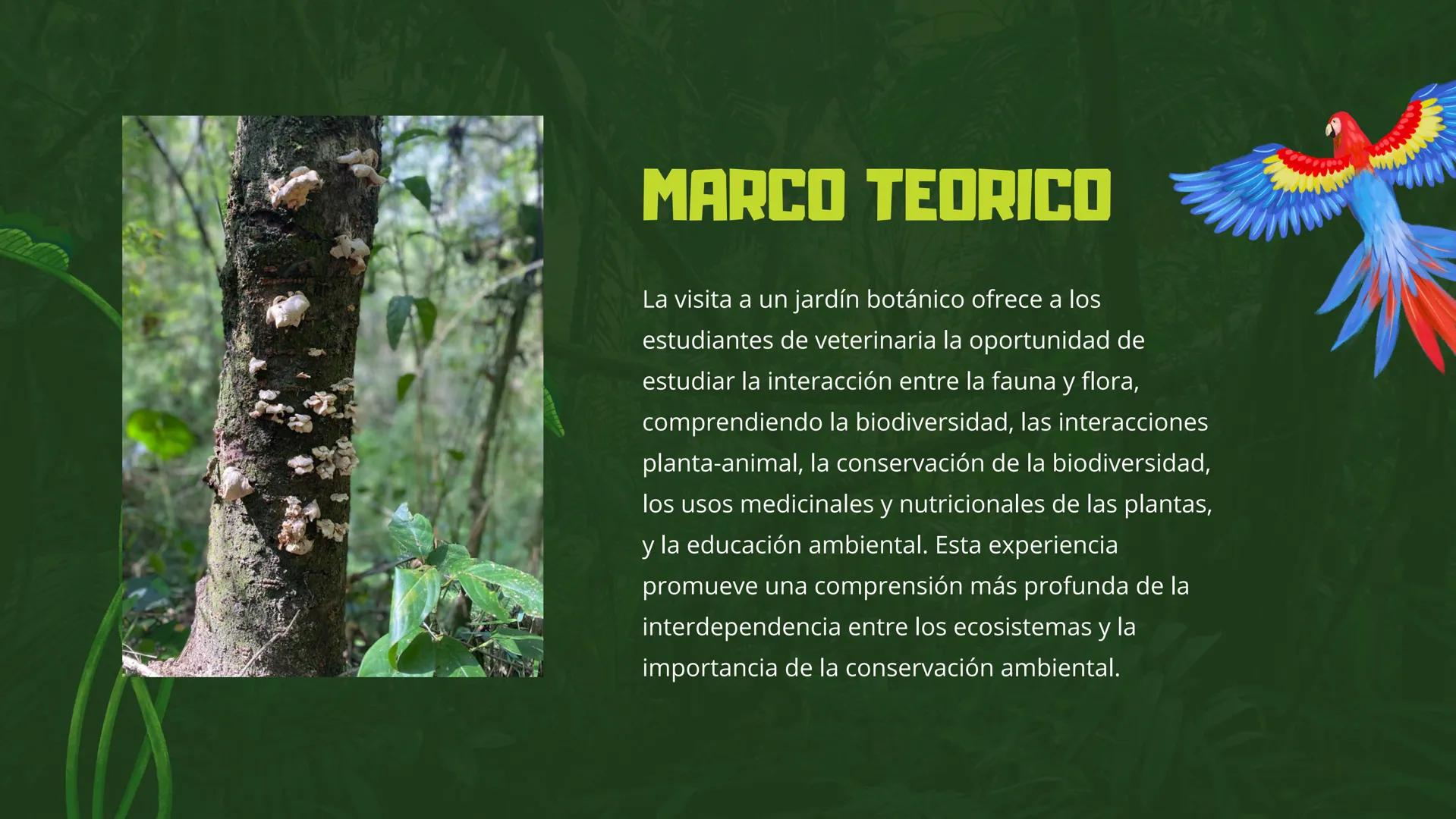 CENAL
CENTRO NACIONAL DE CAPACITACIÓN LABORAL
JARDÍN
BOTANICO
JUAN MARÍA CESPEDES
MANUELA IDROBO ROJAS INTRODUCCIÓN
"En medio de la aridez y