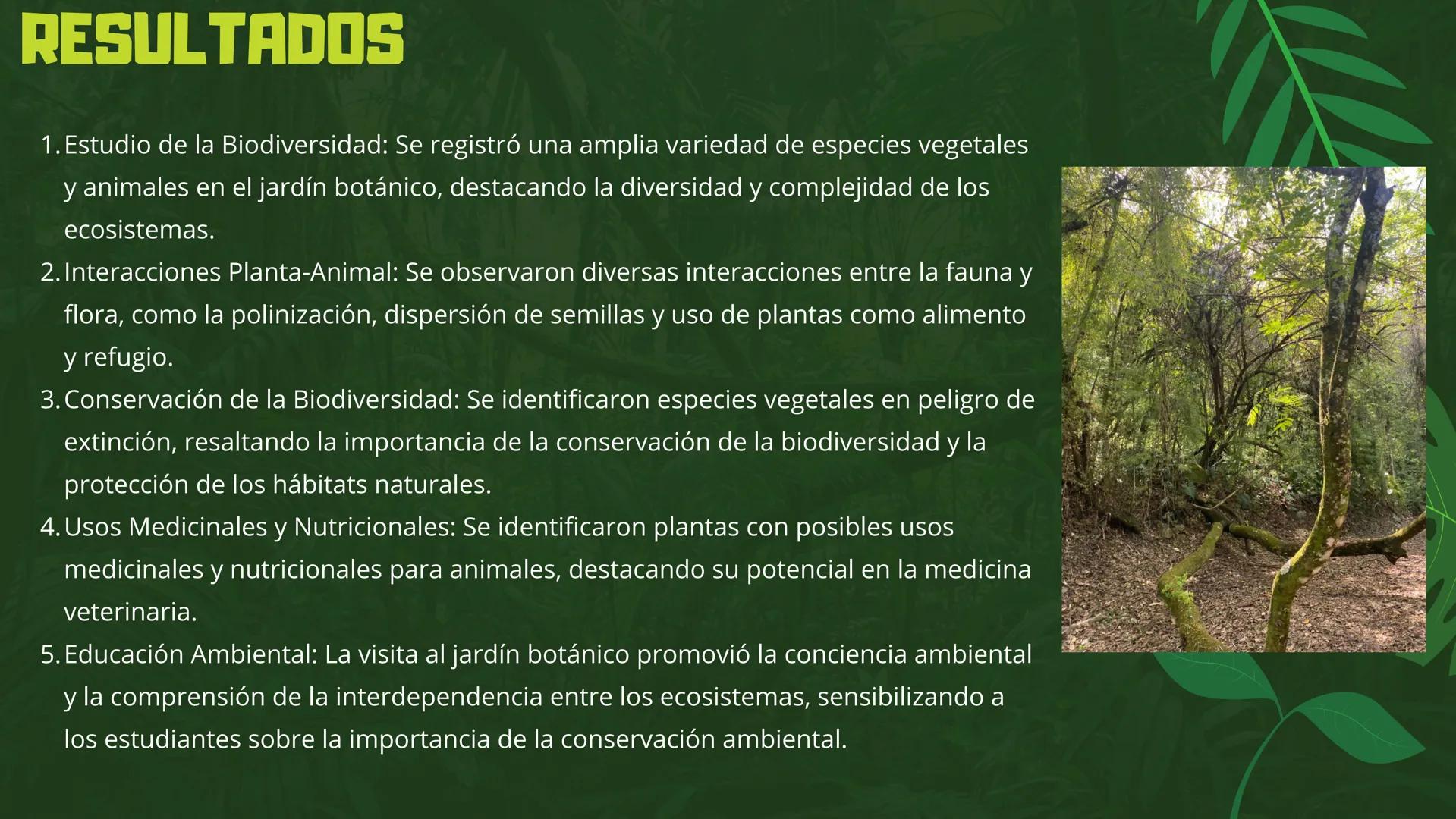 CENAL
CENTRO NACIONAL DE CAPACITACIÓN LABORAL
JARDÍN
BOTANICO
JUAN MARÍA CESPEDES
MANUELA IDROBO ROJAS INTRODUCCIÓN
"En medio de la aridez y