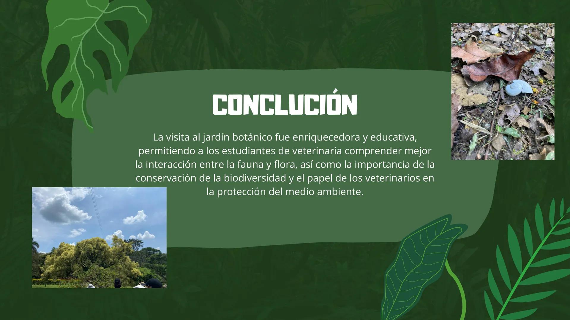 CENAL
CENTRO NACIONAL DE CAPACITACIÓN LABORAL
JARDÍN
BOTANICO
JUAN MARÍA CESPEDES
MANUELA IDROBO ROJAS INTRODUCCIÓN
"En medio de la aridez y