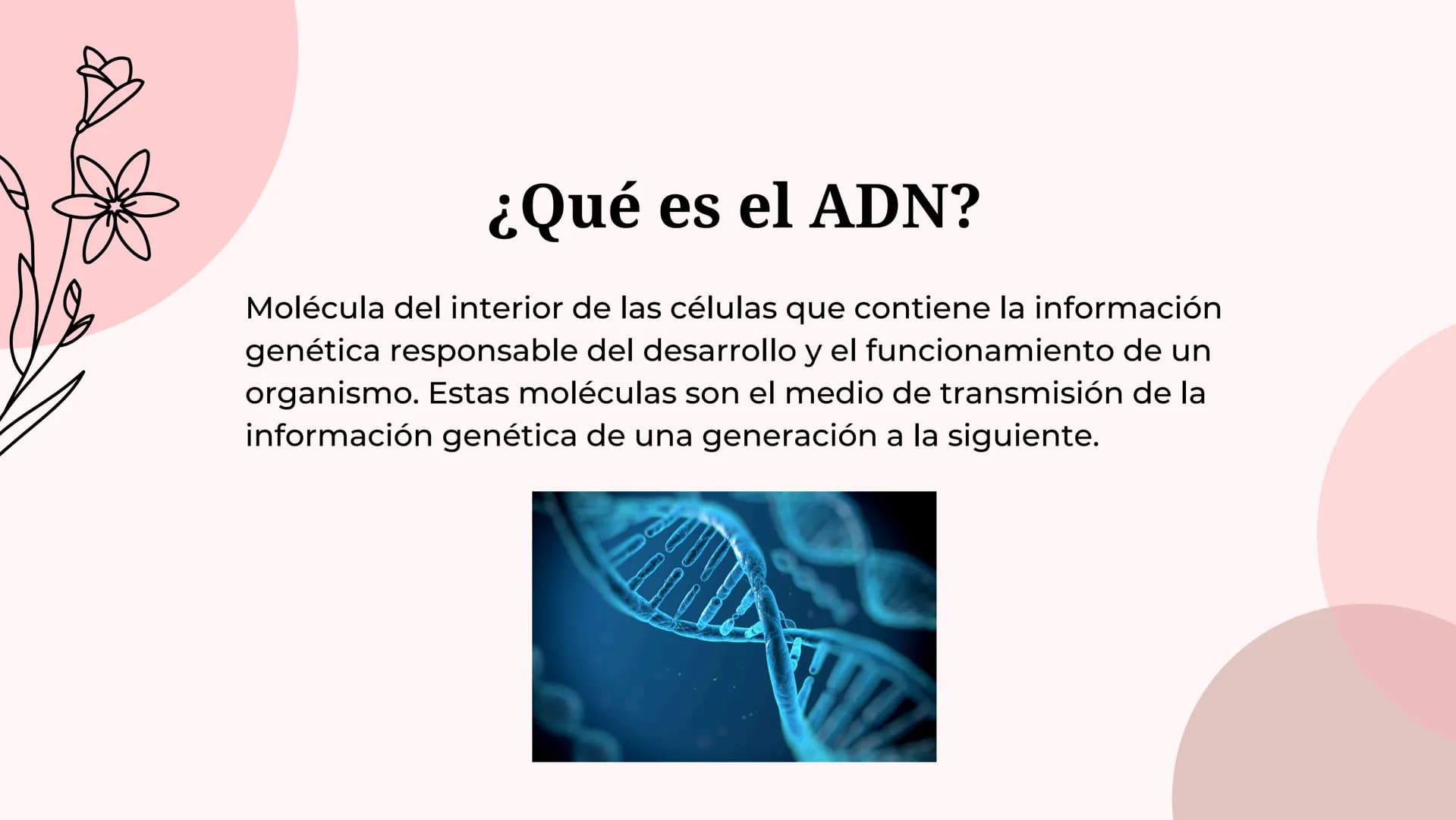 Acido
desoxirribonucleico
(adn) ¿Qué es el ADN?
Molécula del interior de las células que contiene la información
genética responsable del de