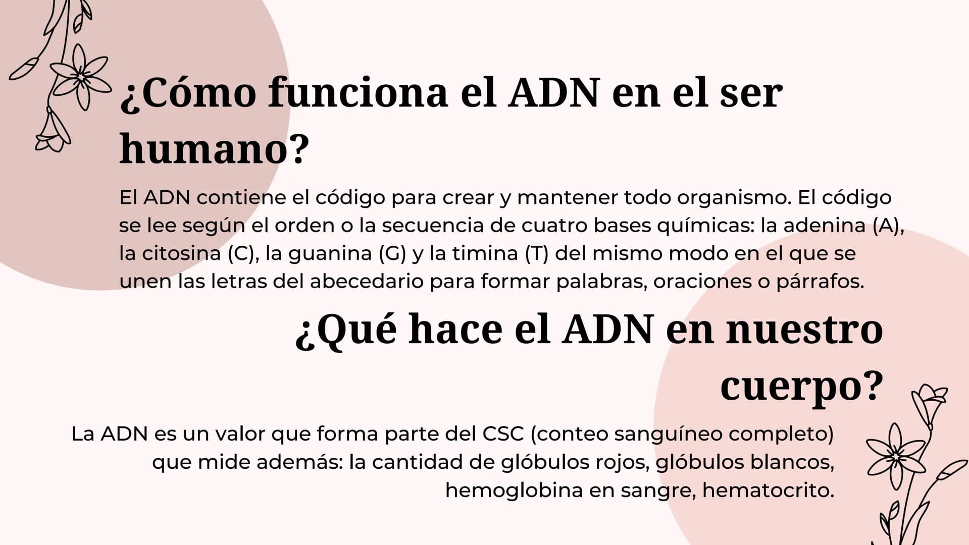 Acido
desoxirribonucleico
(adn) ¿Qué es el ADN?
Molécula del interior de las células que contiene la información
genética responsable del de