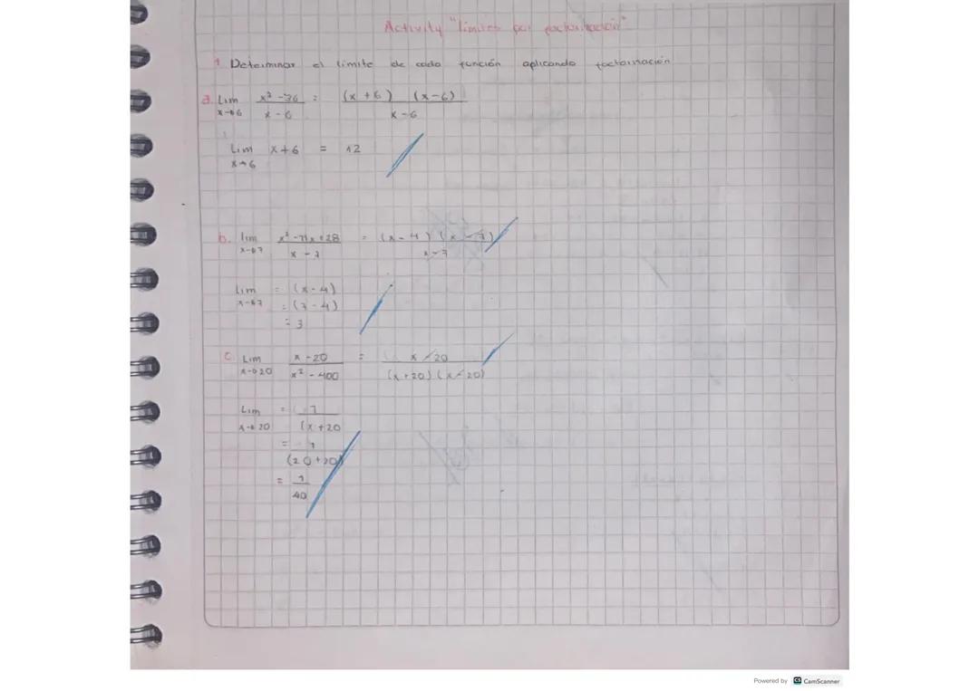 Actividad “límites por factorización”