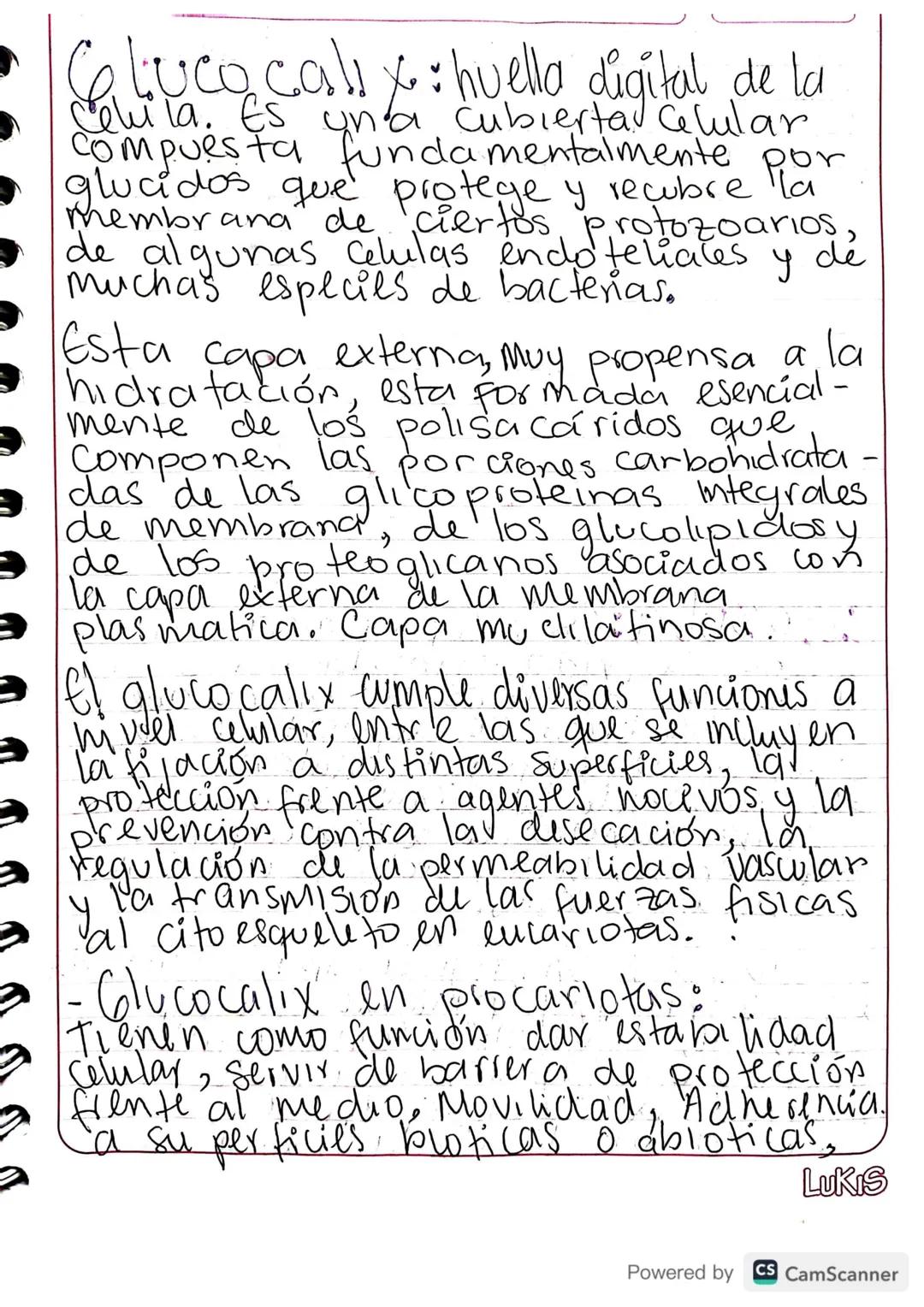 - Gluco calix: huella digital de la
Celula. Es una cubierta Celular
compuesta funda mentalmente por
glucidos que protege y recubre la
membra