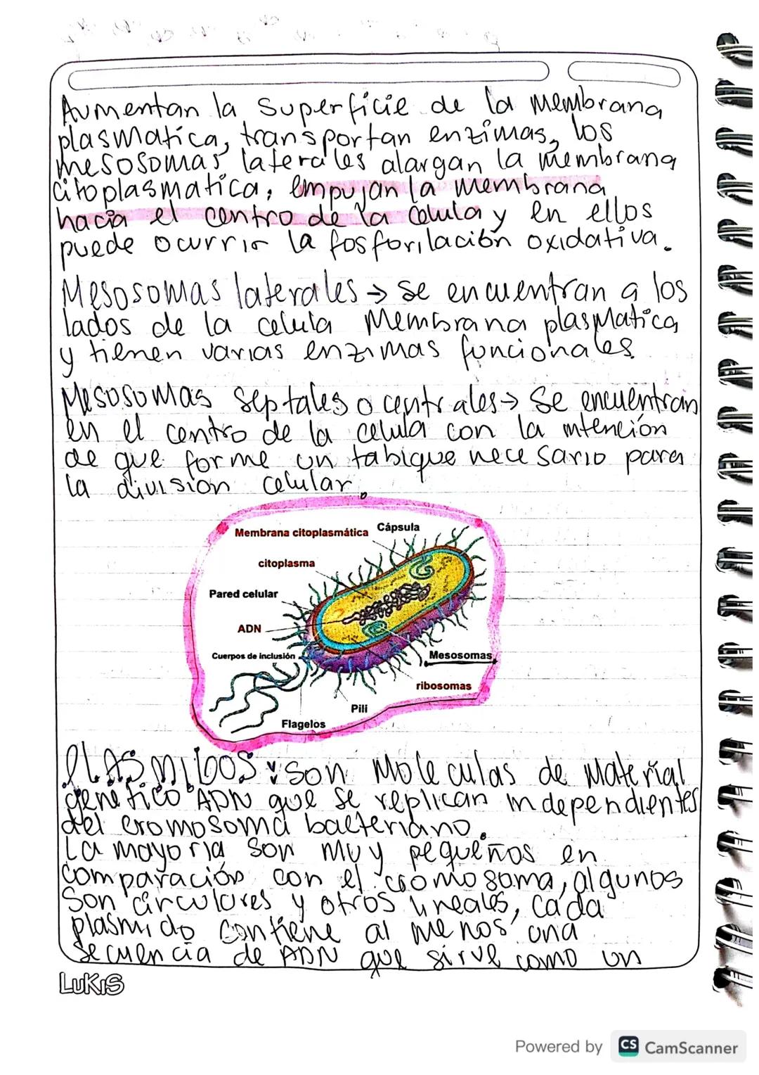 - Gluco calix: huella digital de la
Celula. Es una cubierta Celular
compuesta funda mentalmente por
glucidos que protege y recubre la
membra