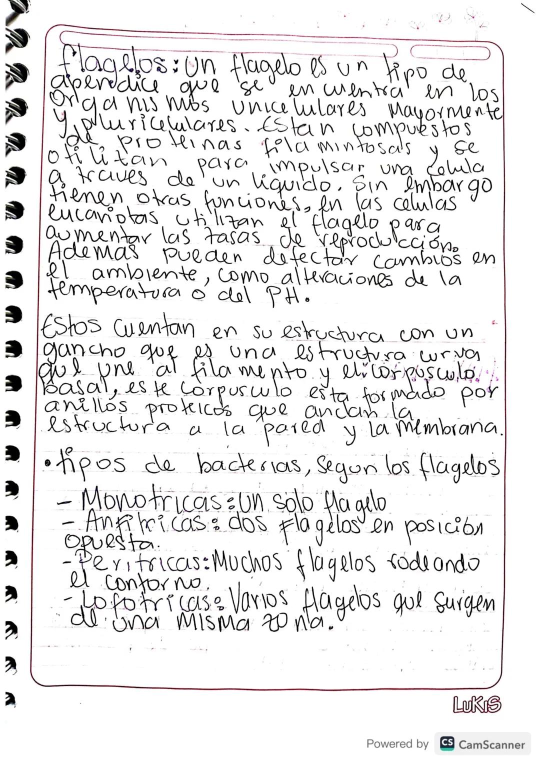 - Gluco calix: huella digital de la
Celula. Es una cubierta Celular
compuesta funda mentalmente por
glucidos que protege y recubre la
membra