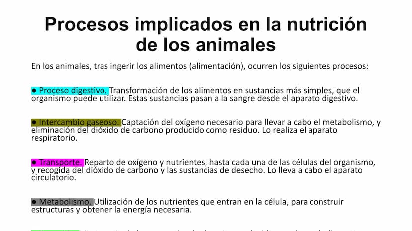 NUTRICIÓN AUTOTRÓFA Y
HETERÓTROFA NUTRICIÓN ANIMAL
NUTRICIÓN
Proceso digestivo
Transporte
La nutrición es el proceso
biológico en el que los