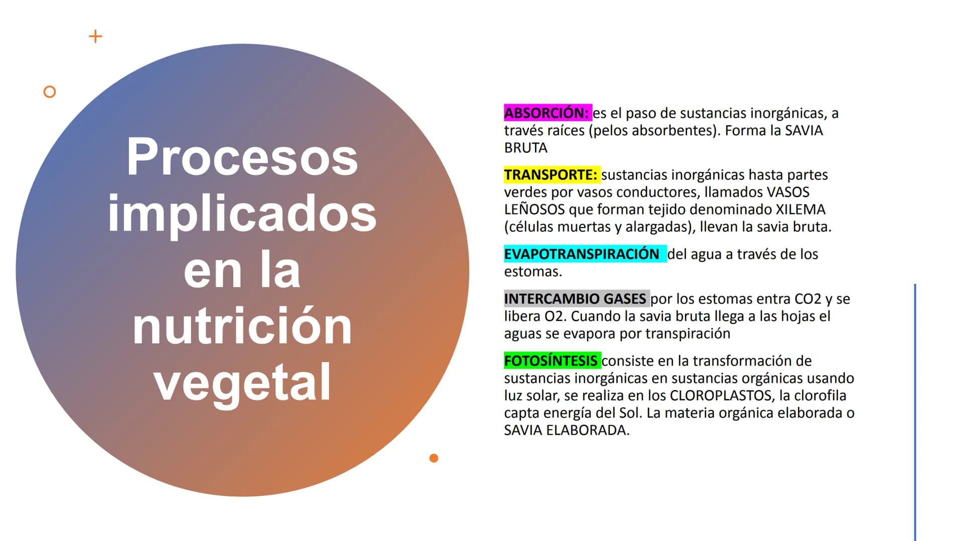 NUTRICIÓN AUTOTRÓFA Y
HETERÓTROFA NUTRICIÓN ANIMAL
NUTRICIÓN
Proceso digestivo
Transporte
La nutrición es el proceso
biológico en el que los
