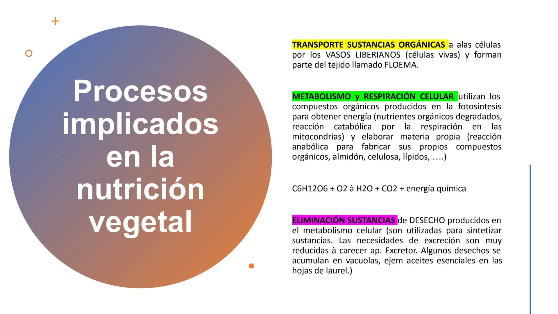 NUTRICIÓN AUTOTRÓFA Y
HETERÓTROFA NUTRICIÓN ANIMAL
NUTRICIÓN
Proceso digestivo
Transporte
La nutrición es el proceso
biológico en el que los