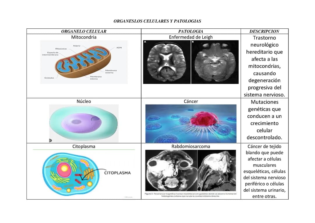 Biologia 
