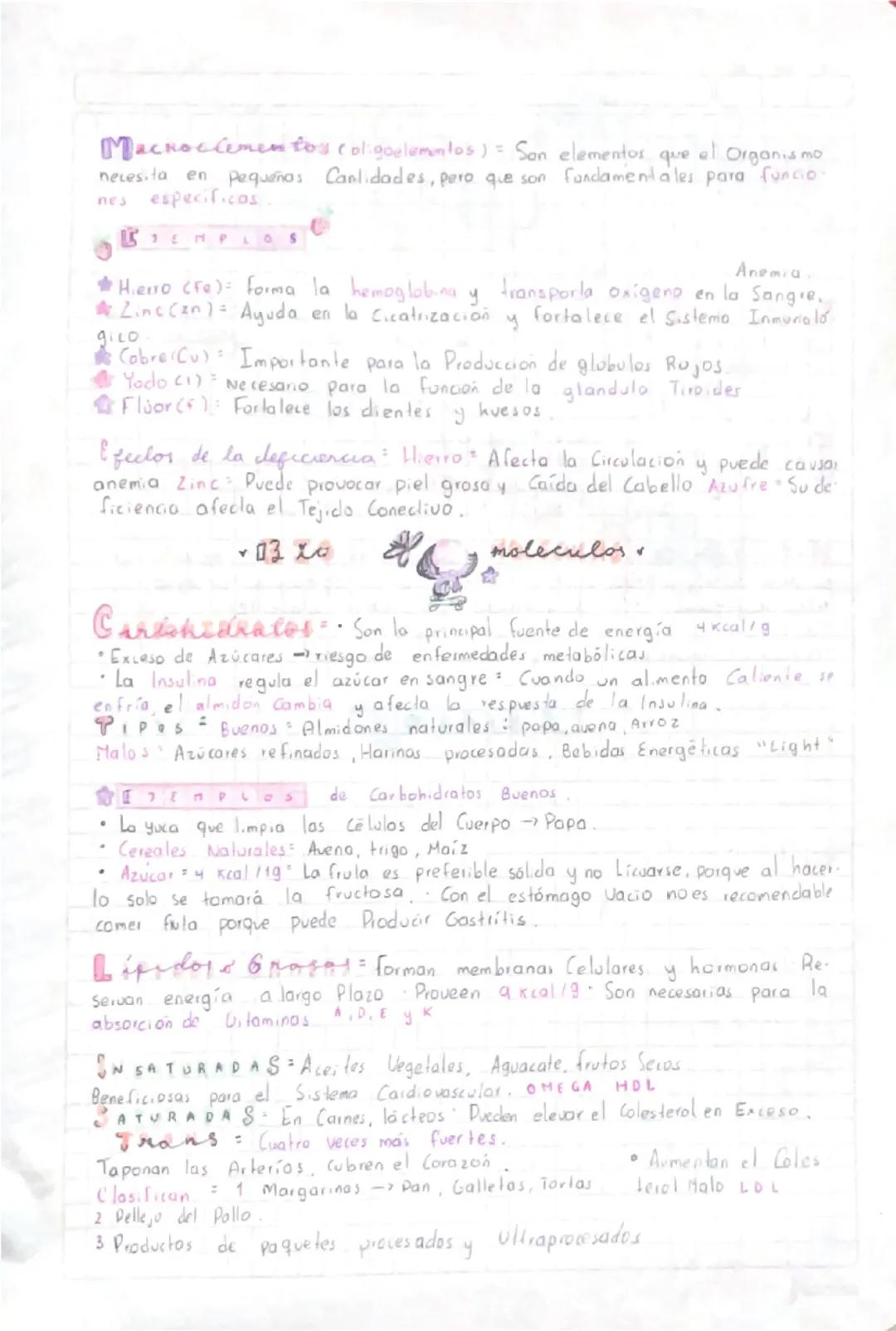 13
mento
240225
OS
Bioelementos
Los Bople
dad
Se clasifican
son los elementos químicos esenciales para la vida
en macroelementos y microelem