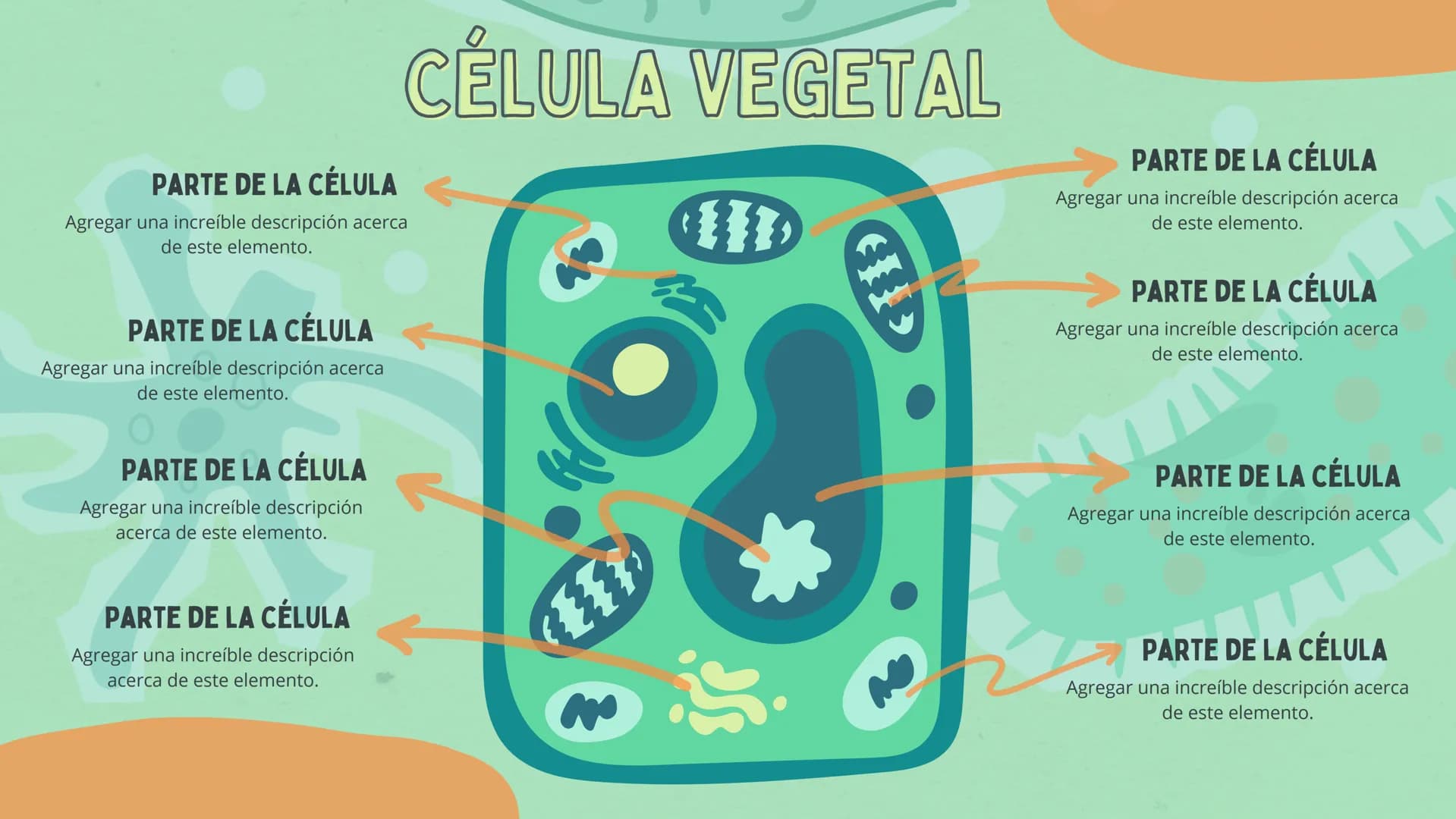 PARTE DE LA CÉLULA
Agregar una increíble descripción acerca
de este elemento.
CÉLULA VEGETAL
PARTE DE LA CÉLULA
Agregar una increíble descri