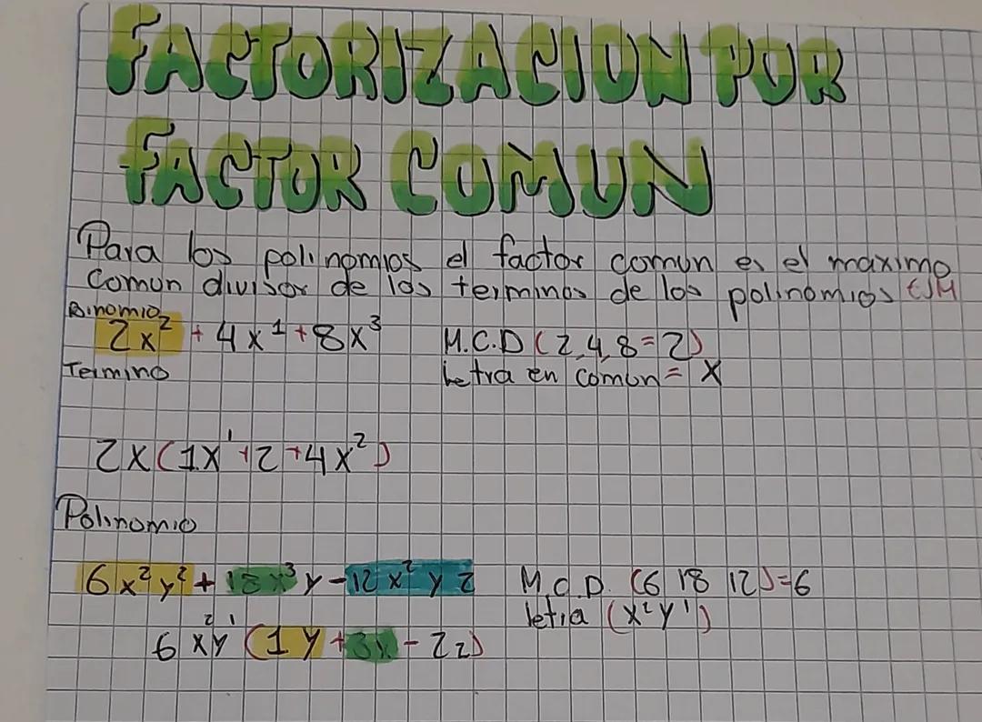 Factorización por factor común 