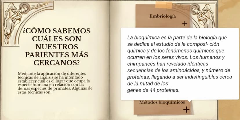 LA EVOLUCIÓN DE LA
ESPECIE HUMANA
COMENZAR 99
"No es el más fuerte de las
especies el que sobrevive,
tampoco es el más inteligente
el que so
