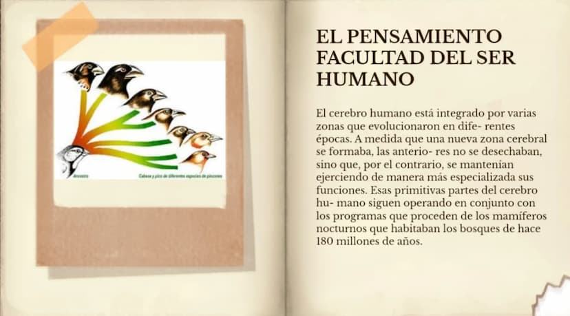 LA EVOLUCIÓN DE LA
ESPECIE HUMANA
COMENZAR 99
"No es el más fuerte de las
especies el que sobrevive,
tampoco es el más inteligente
el que so