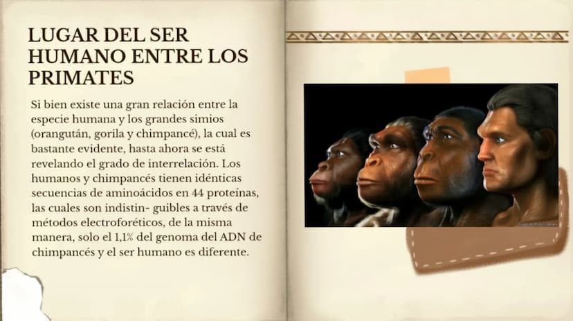 LA EVOLUCIÓN DE LA
ESPECIE HUMANA
COMENZAR 99
"No es el más fuerte de las
especies el que sobrevive,
tampoco es el más inteligente
el que so