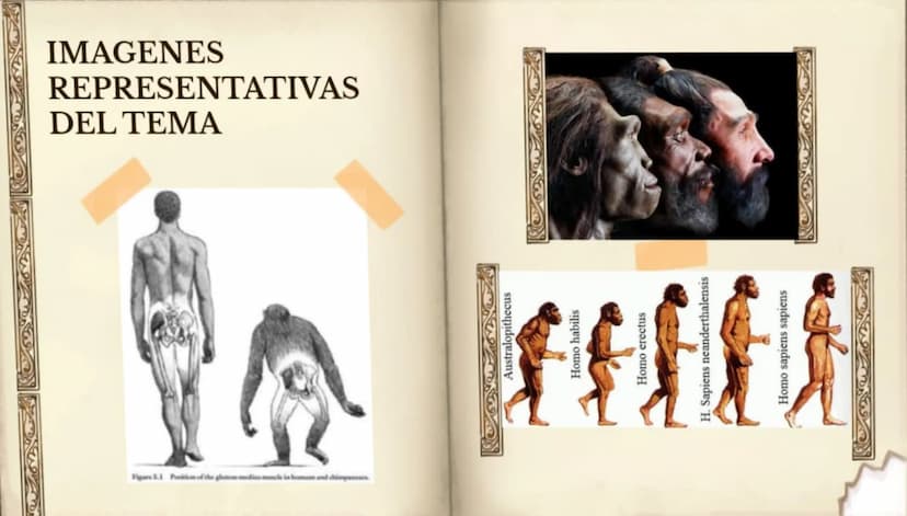 LA EVOLUCIÓN DE LA
ESPECIE HUMANA
COMENZAR 99
"No es el más fuerte de las
especies el que sobrevive,
tampoco es el más inteligente
el que so