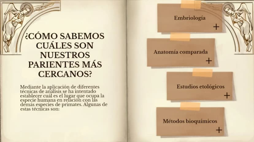 LA EVOLUCIÓN DE LA
ESPECIE HUMANA
COMENZAR 99
"No es el más fuerte de las
especies el que sobrevive,
tampoco es el más inteligente
el que so