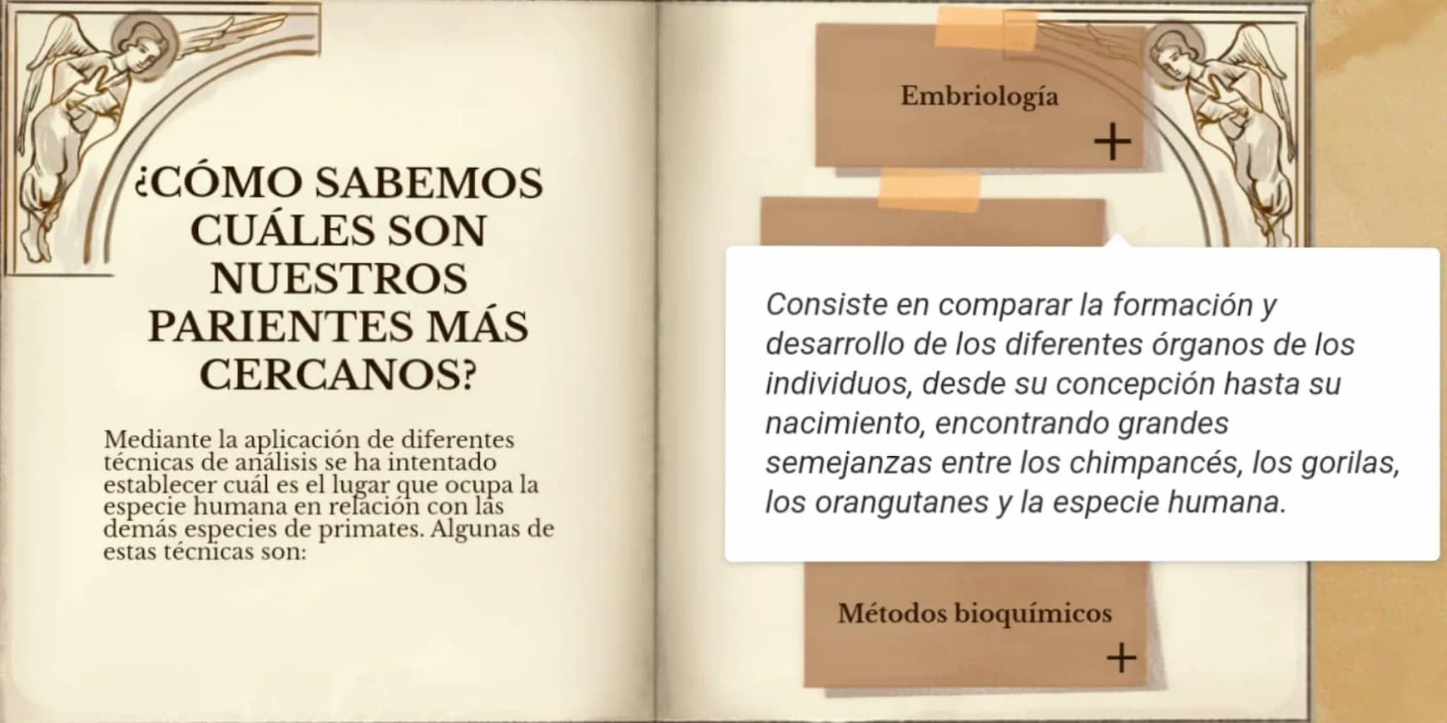 LA EVOLUCIÓN DE LA
ESPECIE HUMANA
COMENZAR 99
"No es el más fuerte de las
especies el que sobrevive,
tampoco es el más inteligente
el que so