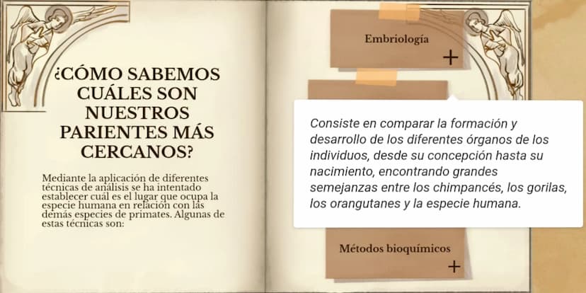 LA EVOLUCIÓN DE LA
ESPECIE HUMANA
COMENZAR 99
"No es el más fuerte de las
especies el que sobrevive,
tampoco es el más inteligente
el que so