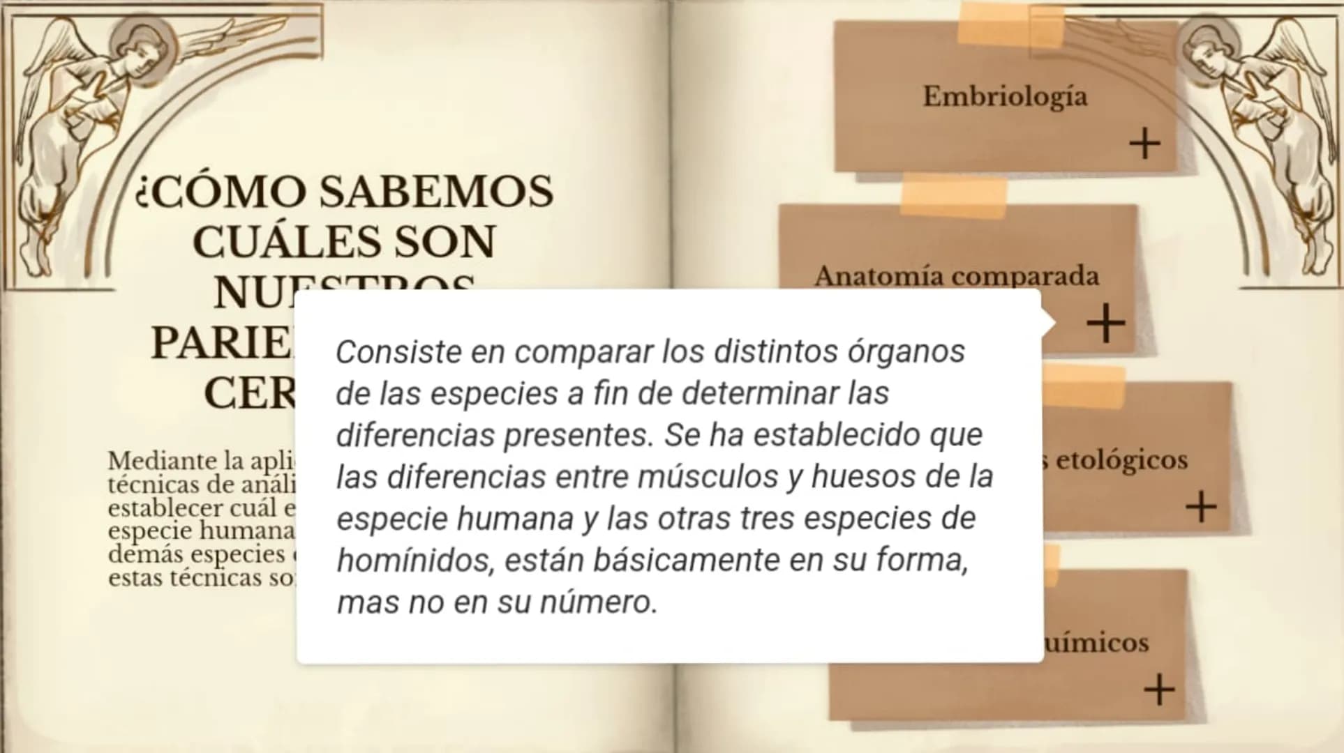 LA EVOLUCIÓN DE LA
ESPECIE HUMANA
COMENZAR 99
"No es el más fuerte de las
especies el que sobrevive,
tampoco es el más inteligente
el que so