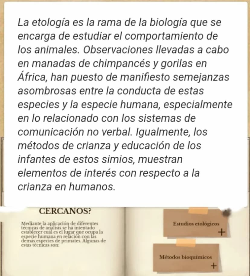 LA EVOLUCIÓN DE LA
ESPECIE HUMANA
COMENZAR 99
"No es el más fuerte de las
especies el que sobrevive,
tampoco es el más inteligente
el que so