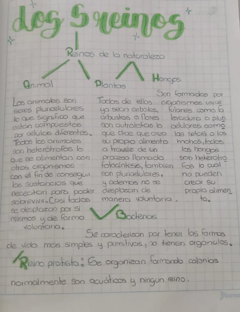 +
dog Greines
Animal
Reinos de la naturaleza
Los animales son
seres pluricelulares
lo que significa que
están compuestos
por células diferen