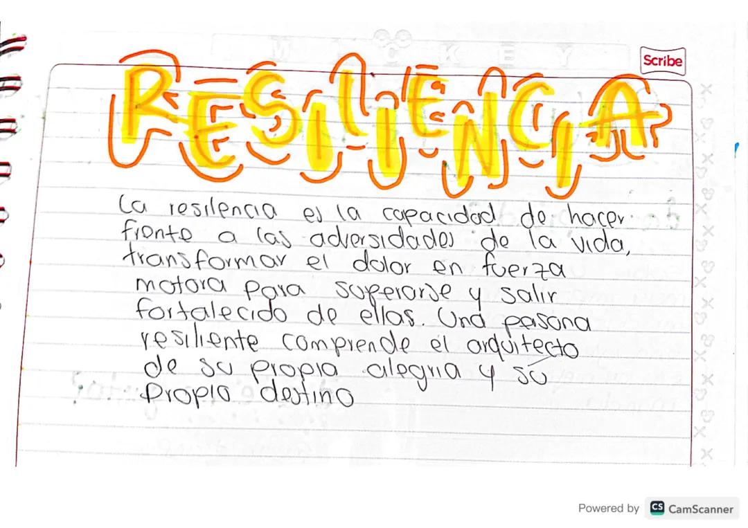 Resiliencia 
