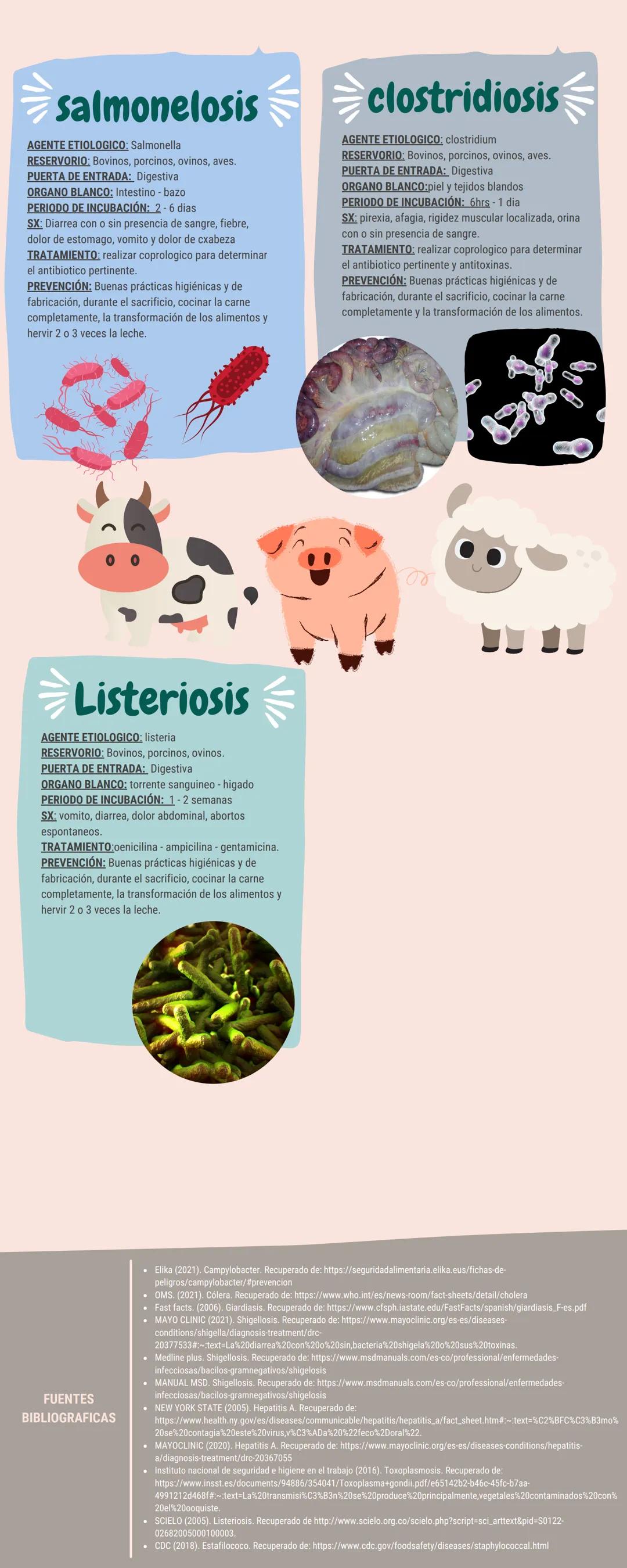 # ENFERMEDADES TRANSMITIDAS
POR ALIMENTOS

Campylobacter
AGENTE ETIOLOGICQ, Campylobacter jejuni.
RESERVORIO, Bovinos, porcinos, ovinos, ave