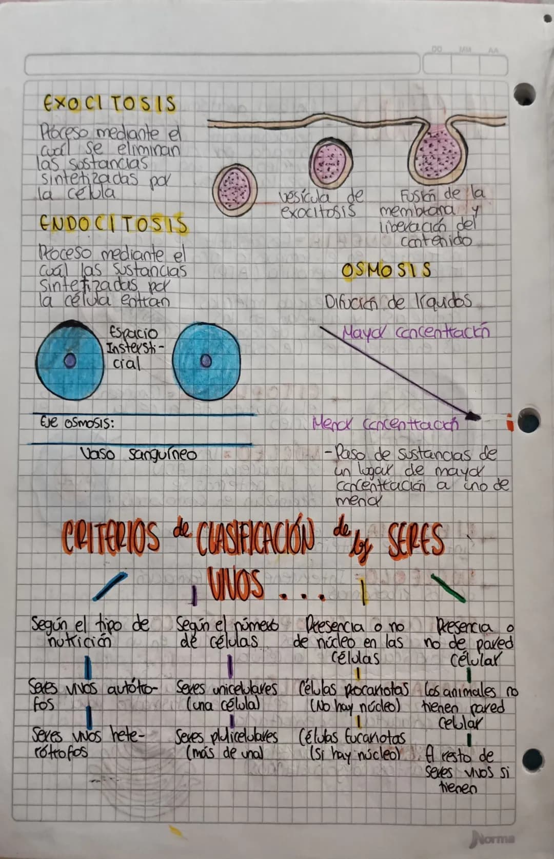 OD
MM
AA
LA CÉLULA
PARTES
Unidad anatómica fundamental
= de todos los dganismos vivos,
generalmente microscópica,
famada por citoplasma, in
