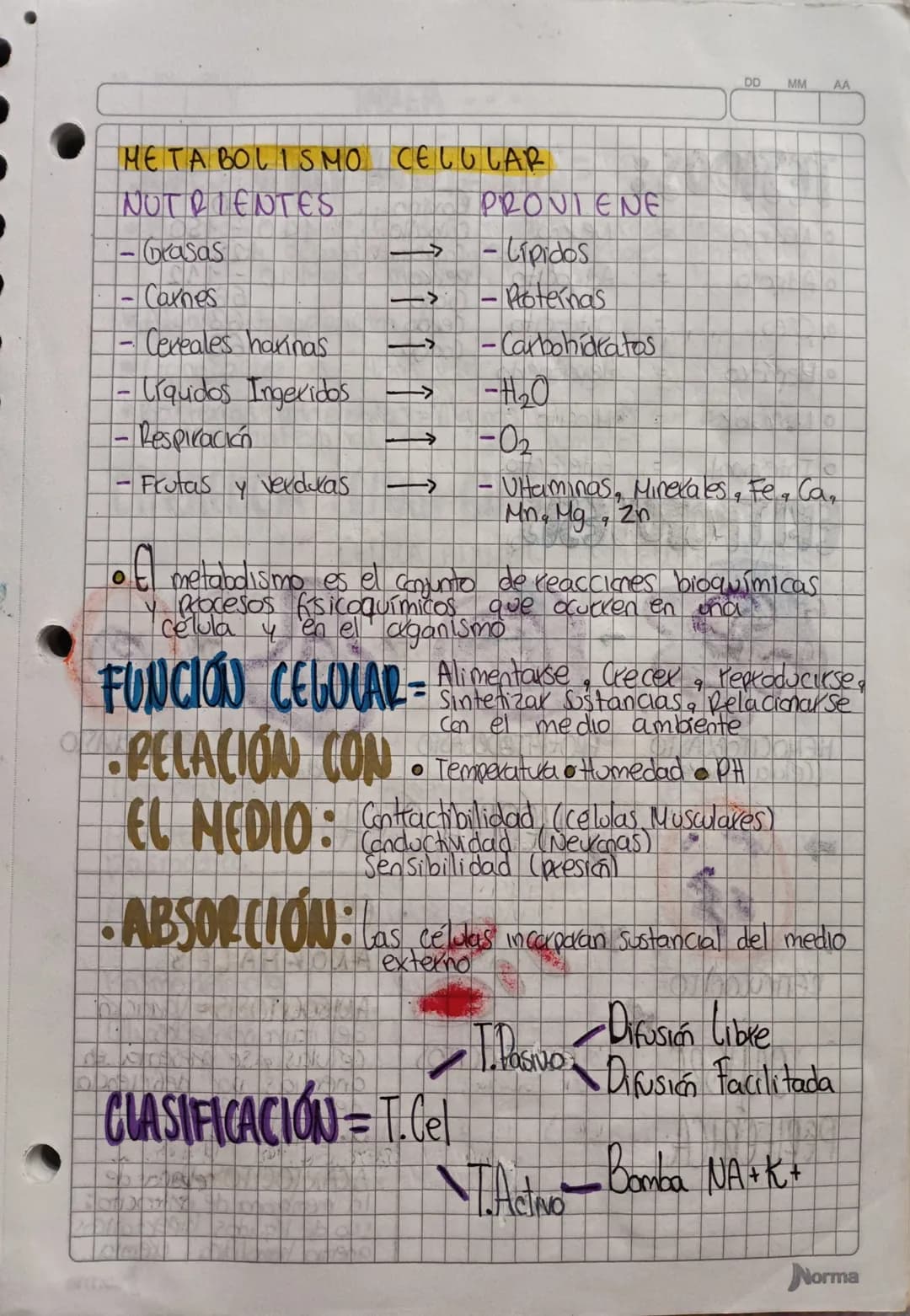 OD
MM
AA
LA CÉLULA
PARTES
Unidad anatómica fundamental
= de todos los dganismos vivos,
generalmente microscópica,
famada por citoplasma, in
