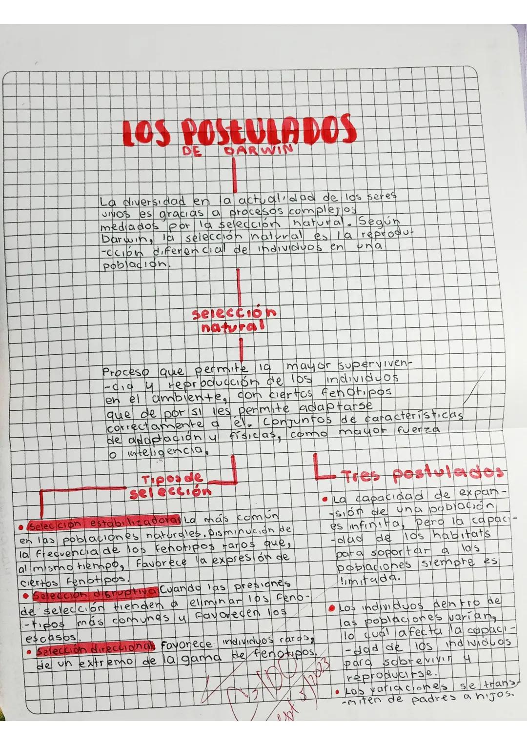 # LOS POSŁULADOS

La diversidad en la actualidad de los seres
vivos es gr gracias a procesos comp complejos
mediados por la selección natura