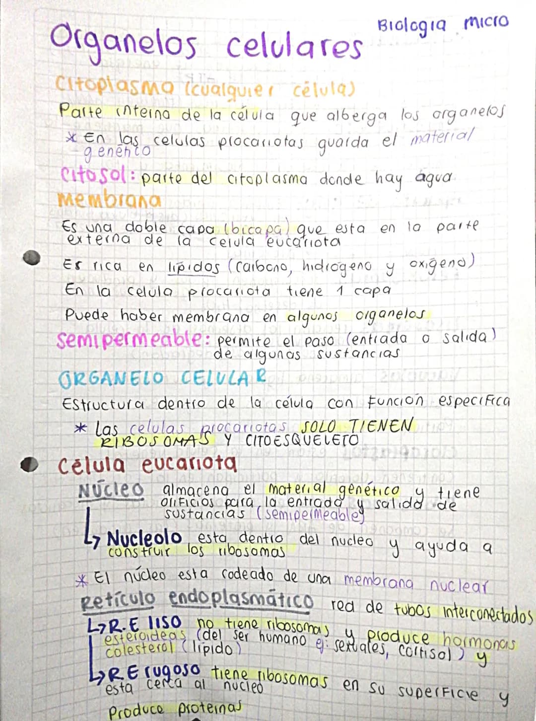 Organelos celulares
Citoplasma (cualquier célula)
Biologia micro
Parte interna de la célula que alberga los organelos
* en las celulas proca