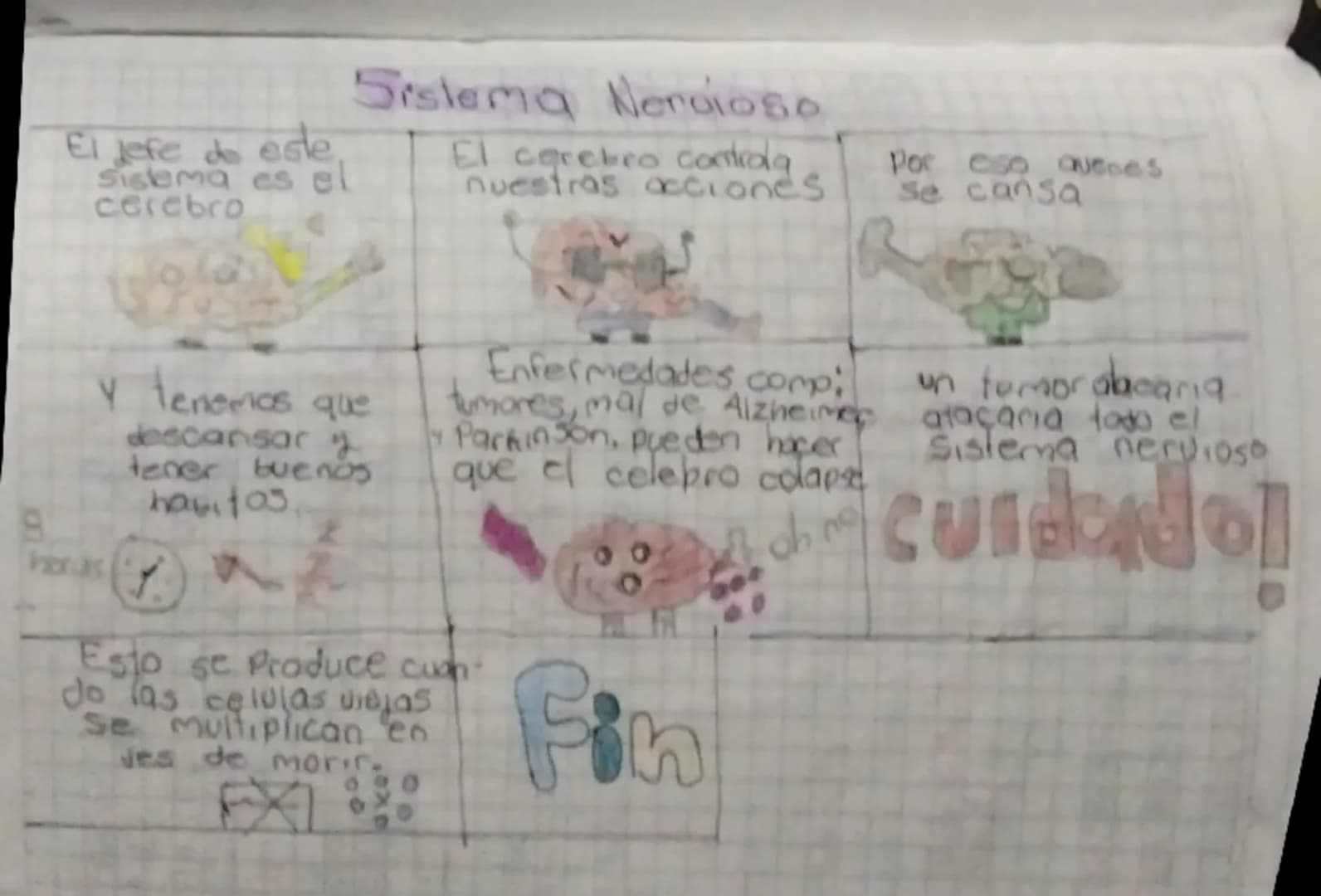A
El jefe do este
Sistema es el
cerebro
Sistema Neroioso
El cerebro controla
nuestras acciones
Por eso aucces
Se cansa
y tenemos que
descans