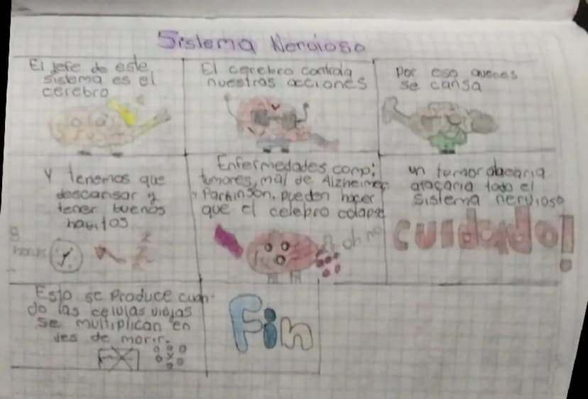 A
El jefe do este
Sistema es el
cerebro
Sistema Neroioso
El cerebro controla
nuestras acciones
Por eso aucces
Se cansa
y tenemos que
descans