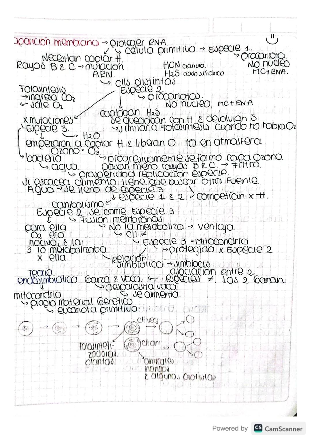 # Origen de las primeras ceulas.

codigo Genetico elemento codificante
Autopayesis mantenerse & reproducirse
momentos estres.
-7
Lugar de la