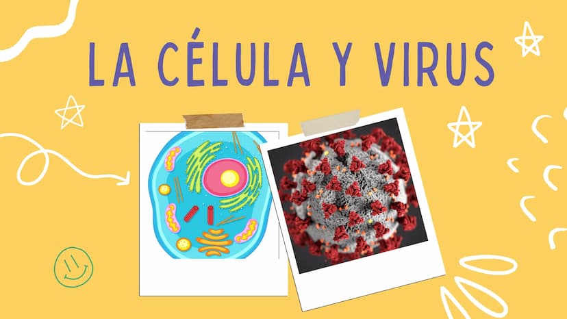 LA CÉLULA Y VIRUS
00 ¿QUE SABEN
DE LA
CELULA? La célula
• La célula es el componente básico de todos los seres vivos.
• Es la unidad estruct