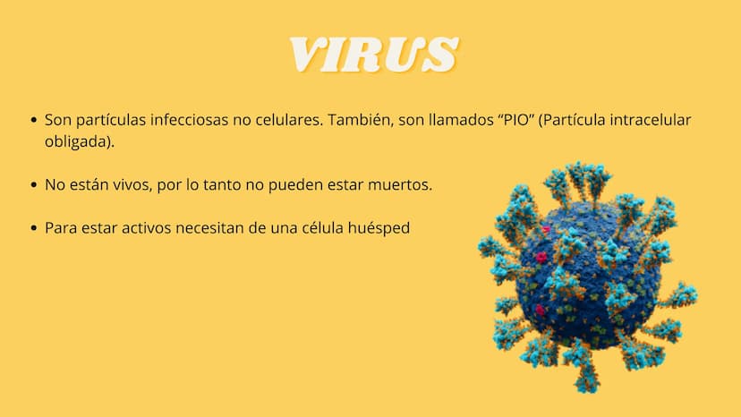 LA CÉLULA Y VIRUS
00 ¿QUE SABEN
DE LA
CELULA? La célula
• La célula es el componente básico de todos los seres vivos.
• Es la unidad estruct
