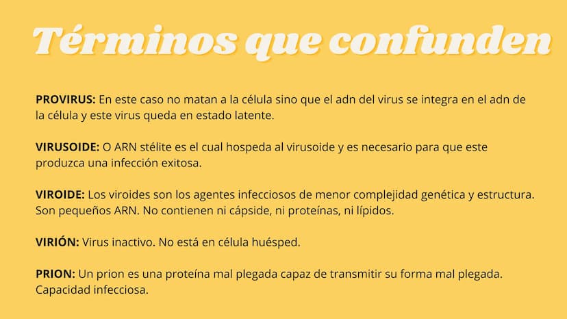 LA CÉLULA Y VIRUS
00 ¿QUE SABEN
DE LA
CELULA? La célula
• La célula es el componente básico de todos los seres vivos.
• Es la unidad estruct