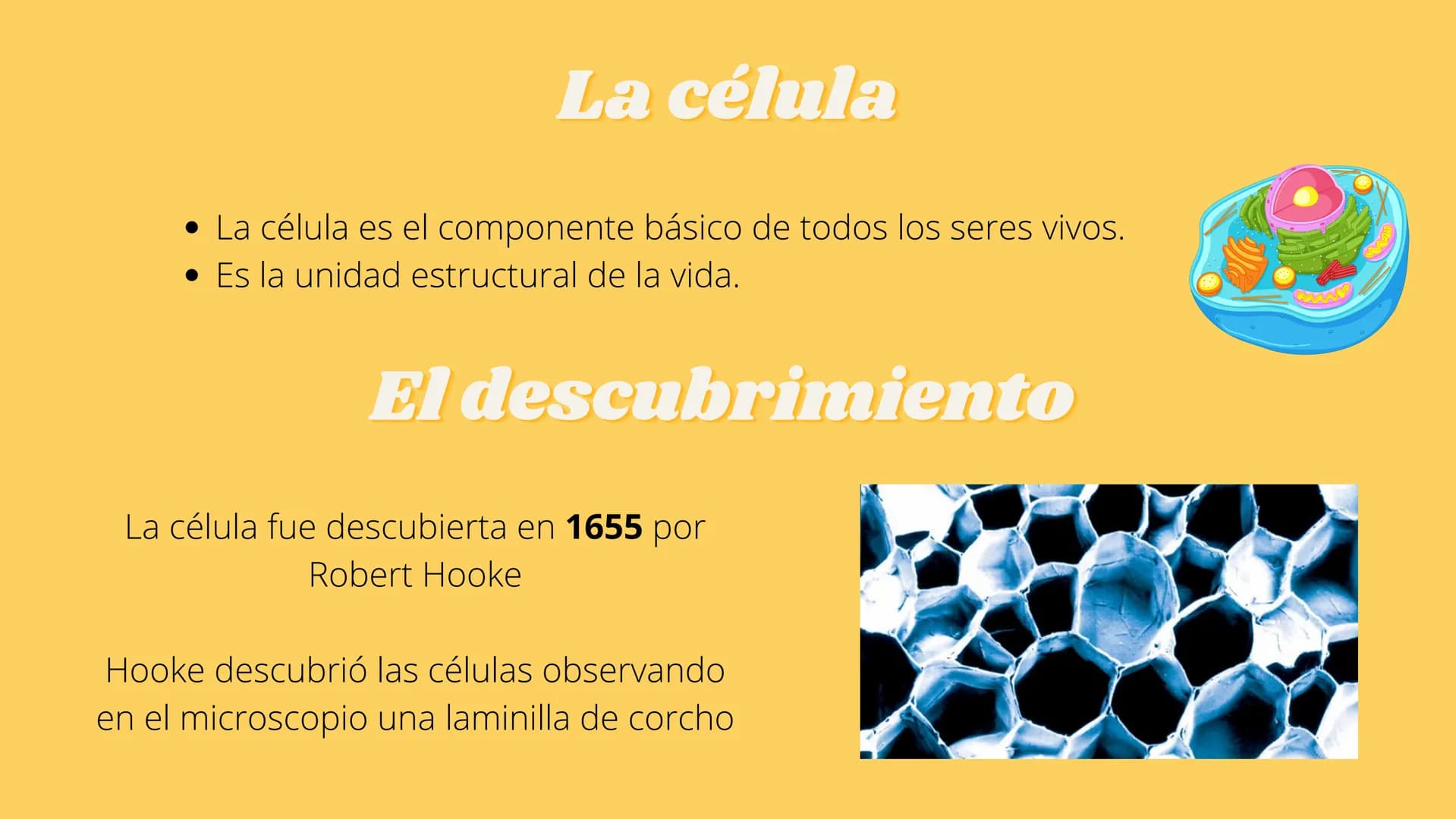 LA CÉLULA Y VIRUS
00 ¿QUE SABEN
DE LA
CELULA? La célula
• La célula es el componente básico de todos los seres vivos.
• Es la unidad estruct
