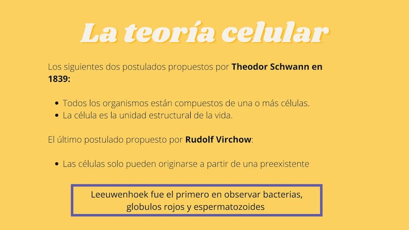 LA CÉLULA Y VIRUS
00 ¿QUE SABEN
DE LA
CELULA? La célula
• La célula es el componente básico de todos los seres vivos.
• Es la unidad estruct