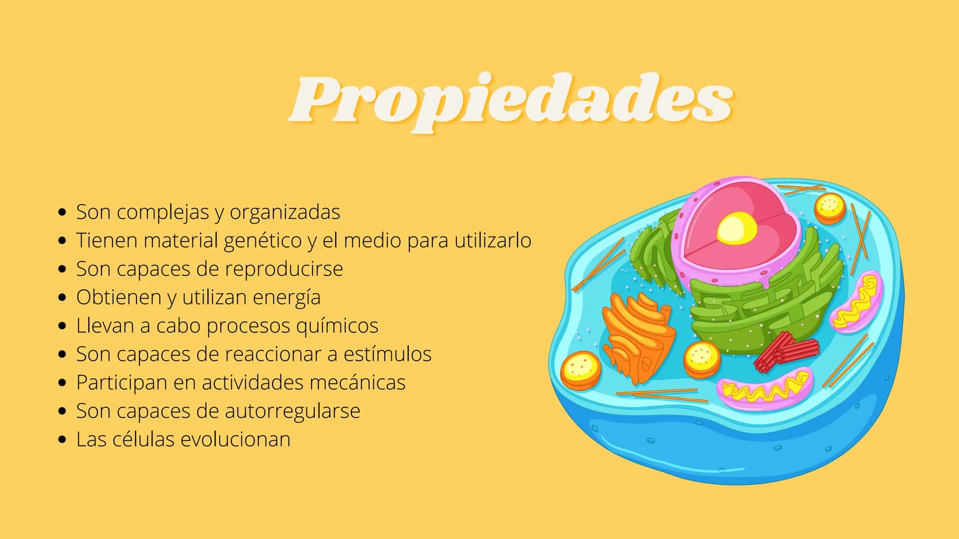 LA CÉLULA Y VIRUS
00 ¿QUE SABEN
DE LA
CELULA? La célula
• La célula es el componente básico de todos los seres vivos.
• Es la unidad estruct