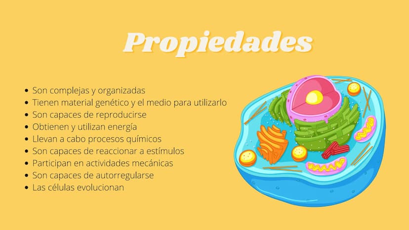 LA CÉLULA Y VIRUS
00 ¿QUE SABEN
DE LA
CELULA? La célula
• La célula es el componente básico de todos los seres vivos.
• Es la unidad estruct