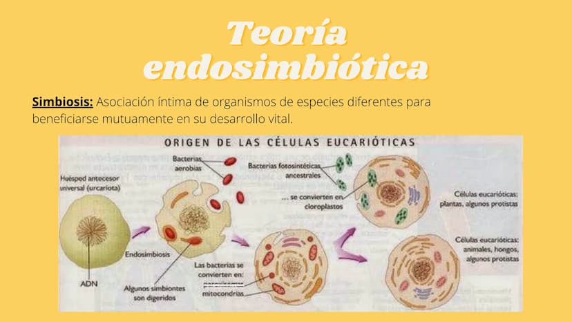 LA CÉLULA Y VIRUS
00 ¿QUE SABEN
DE LA
CELULA? La célula
• La célula es el componente básico de todos los seres vivos.
• Es la unidad estruct